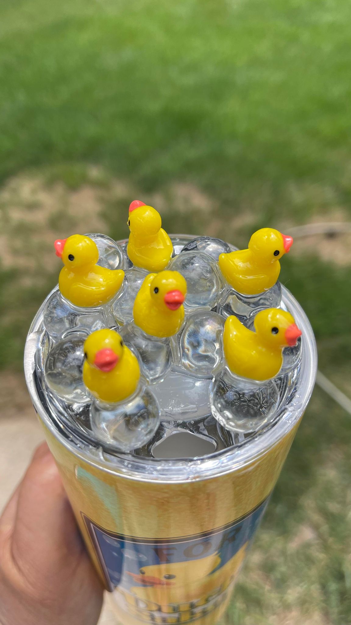 For duck sakes tumbler with topper